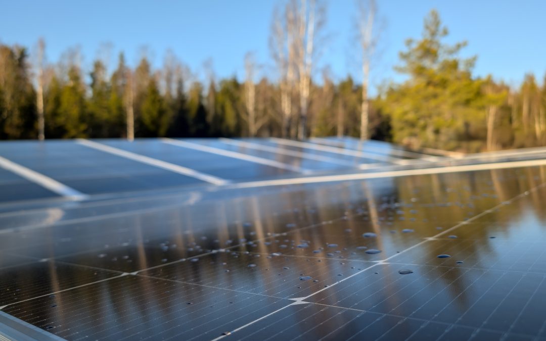 Smartports – En Grön Revolution för Parkeringsplatser
